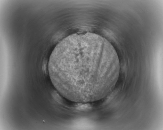 X0000087000185200704301405
