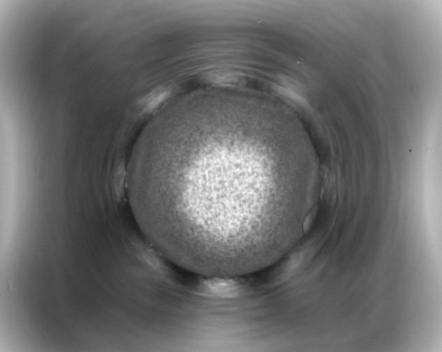 X0000087000189200704301405