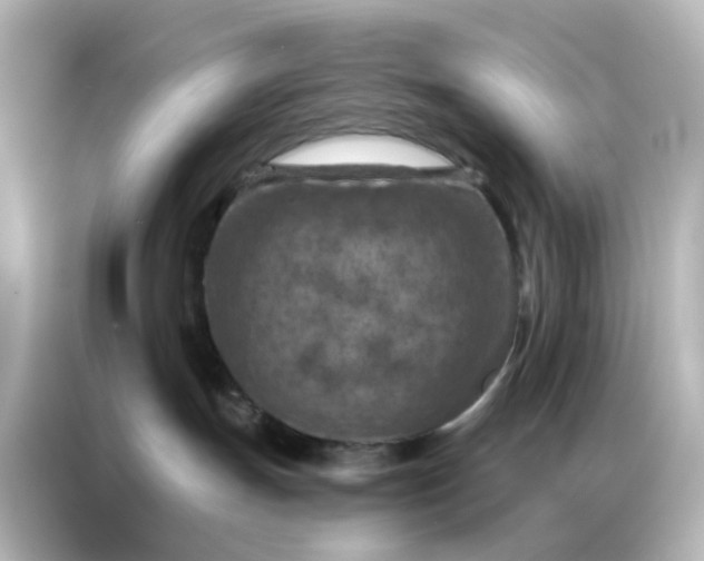 X0000087000191200704301405