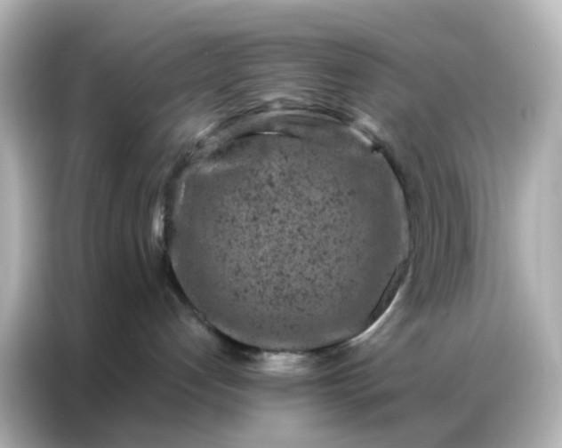 X0000087000192200704301405