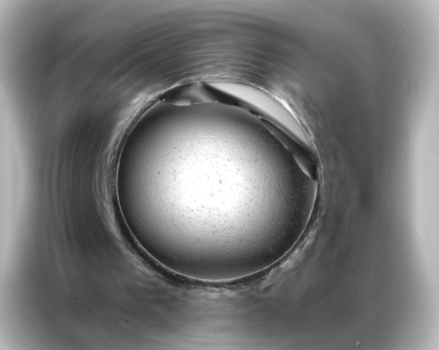 X0000087000193200704301404
