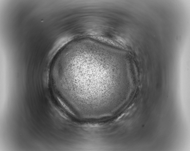 X0000087000194200704301404