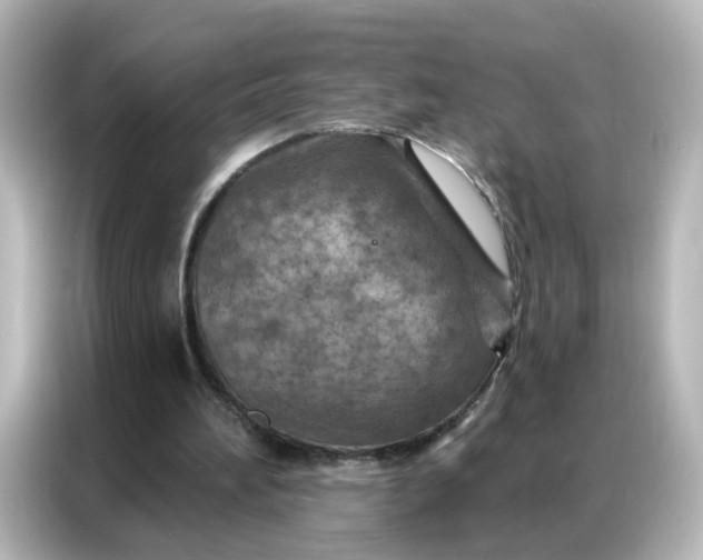 X0000087000196200704301404