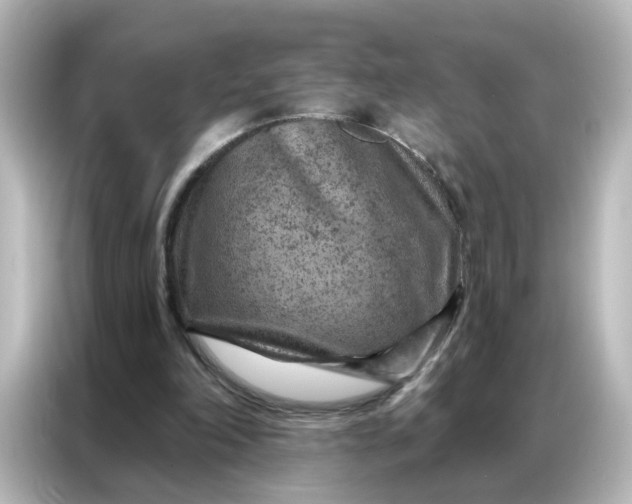 X0000087000198200704301404