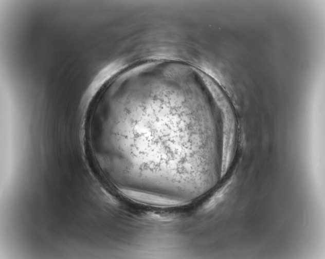 X0000087000199200704301404
