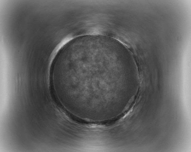 X0000087000200200704301404