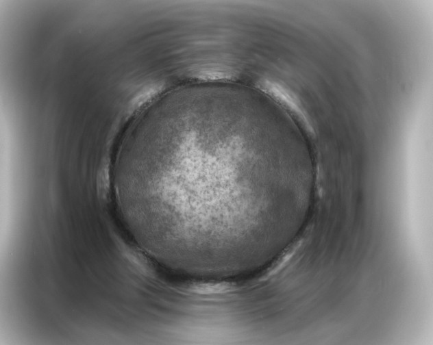 X0000087000202200704301404
