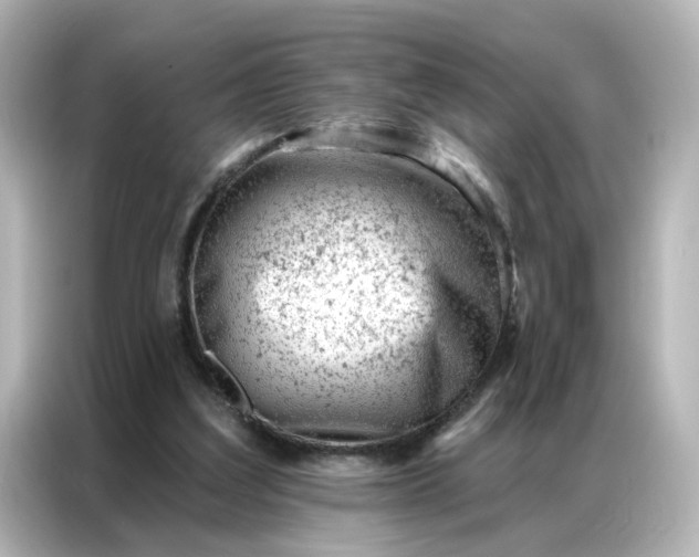 X0000087000203200704301404