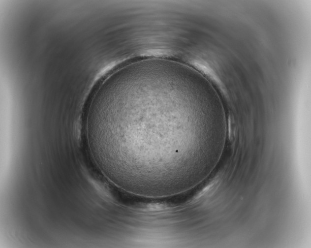X0000087000204200704301404