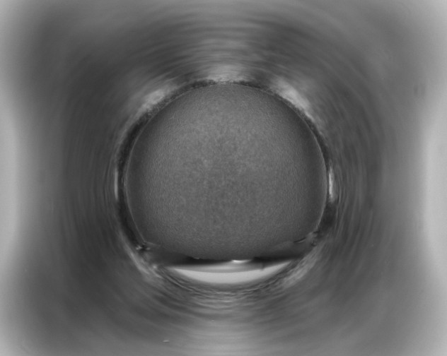 X0000087000205200704301404