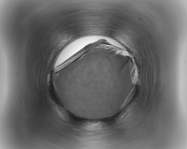 X0000087000206200704301404