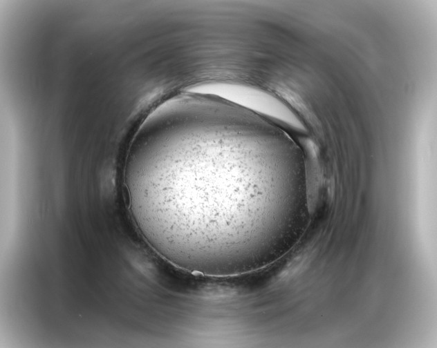 X0000087000207200704301404