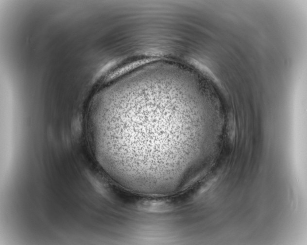 X0000087000208200704301404