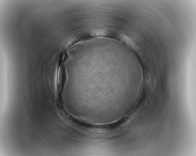 X0000087000209200704301404