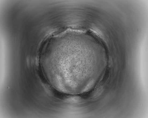 X0000087000210200704301404