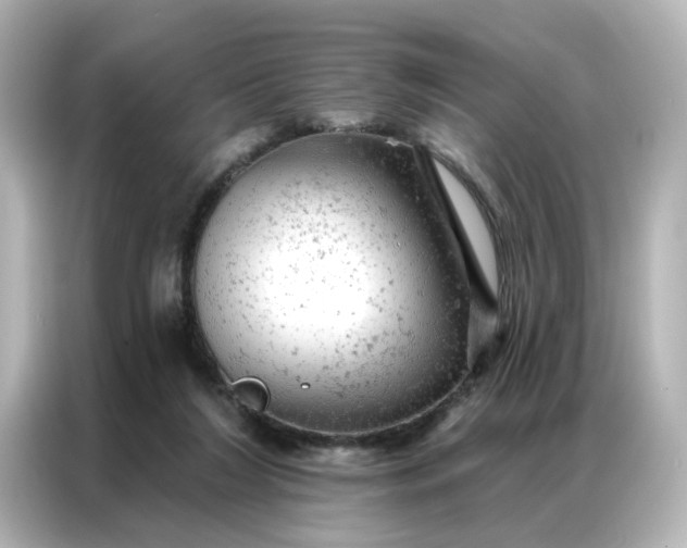 X0000087000212200704301404