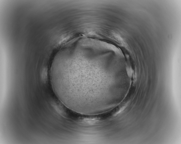 X0000087000213200704301404