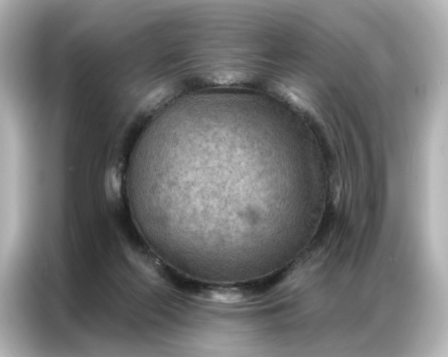X0000087000214200704301404