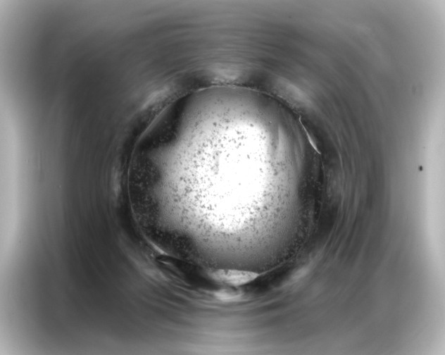 X0000087000215200704301404