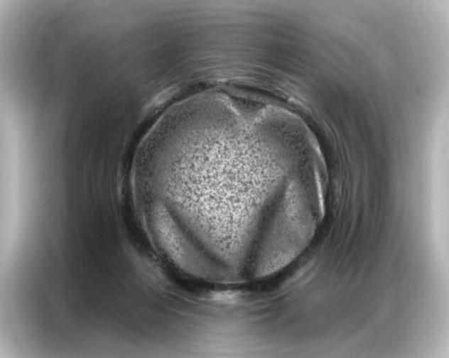 X0000087000216200704301404