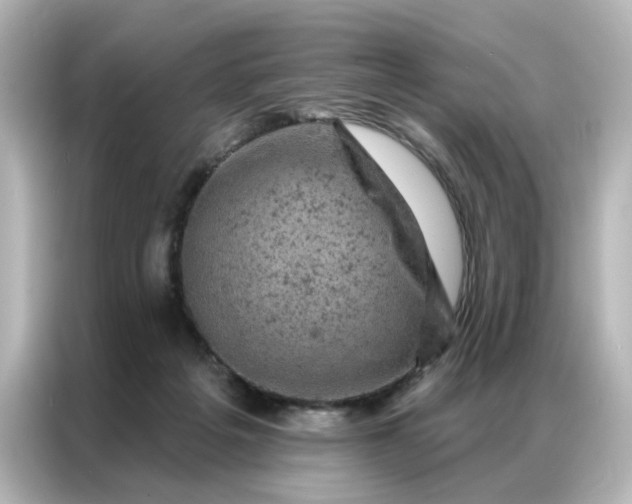X0000087000217200704301404