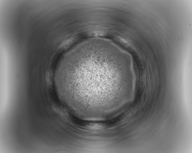 X0000087000218200704301404