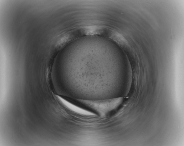 X0000087000219200704301404