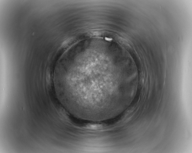 X0000087000220200704301404