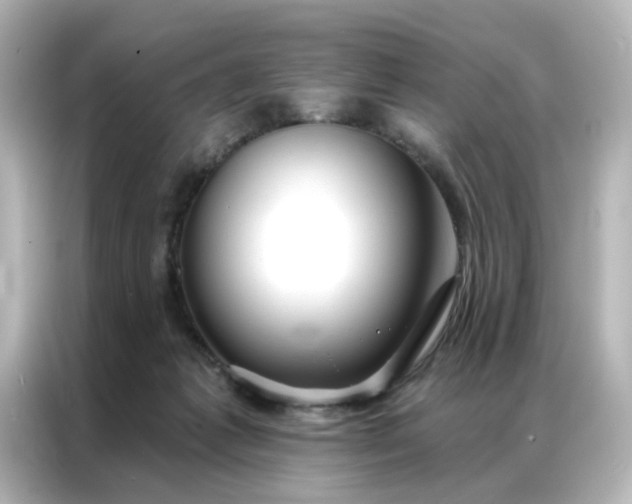 X0000087000221200704301404
