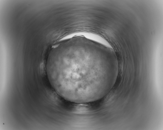 X0000087000222200704301404