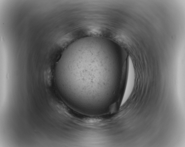 X0000087000223200704301404