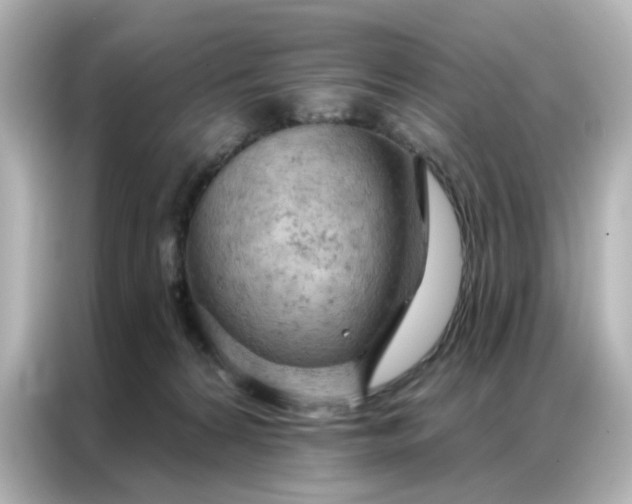 X0000087000224200704301404