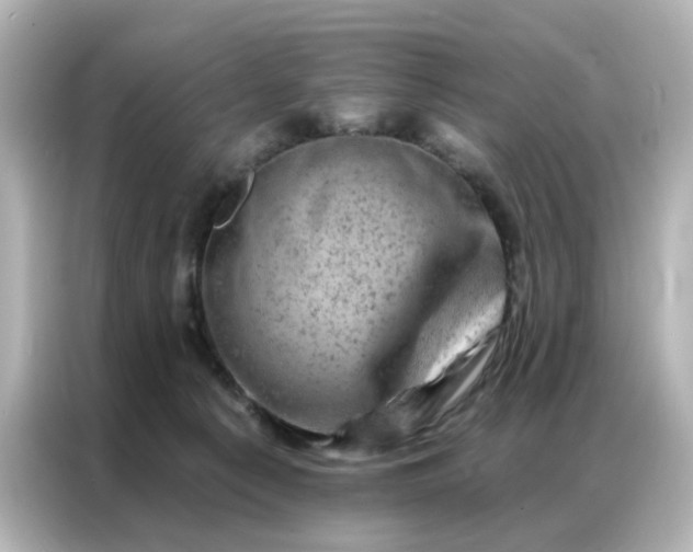 X0000087000225200704301404