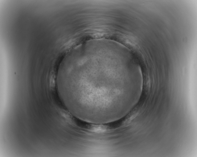 X0000087000226200704301404