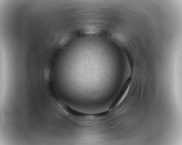 X0000087000227200704301404