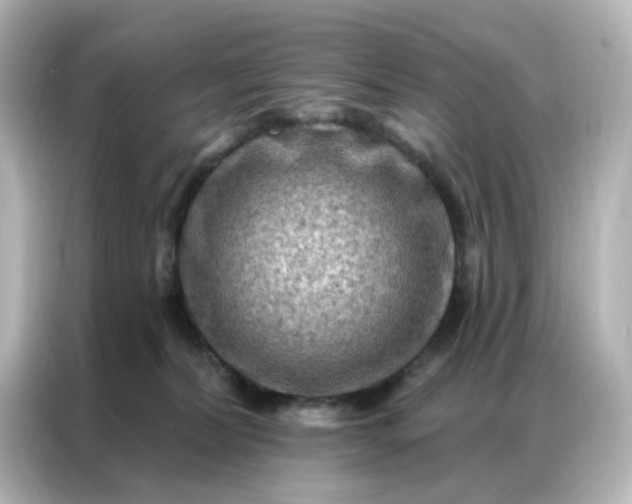 X0000087000228200704301404