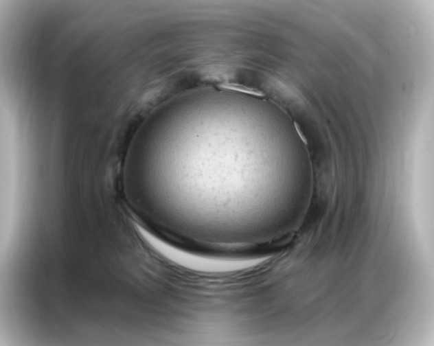 X0000087000229200704301404