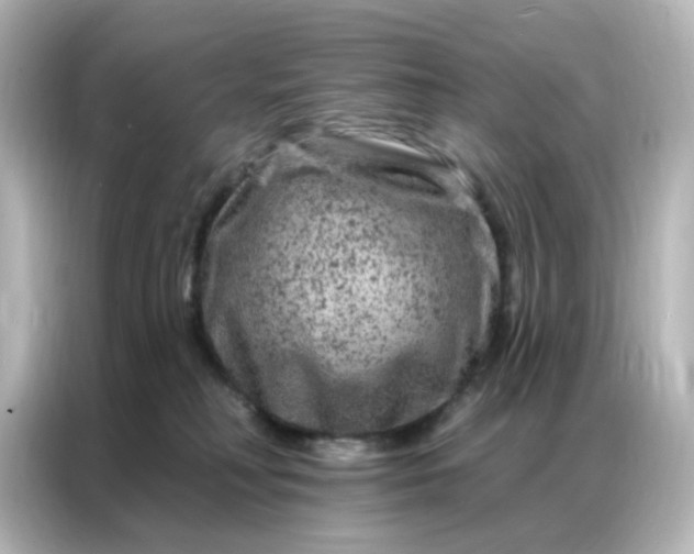 X0000087000230200704301404