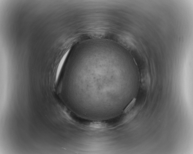 X0000087000231200704301404