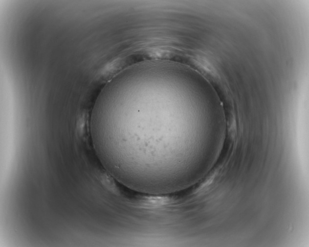 X0000087000233200704301404