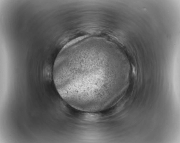 X0000087000234200704301404