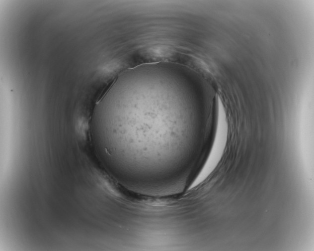 X0000087000235200704301404