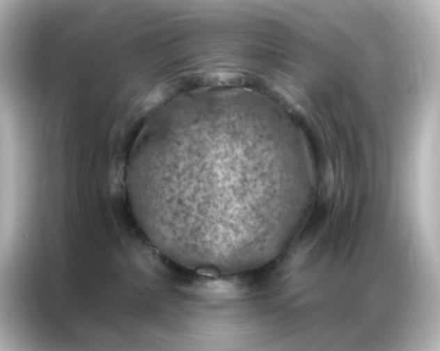 X0000087000236200704301404