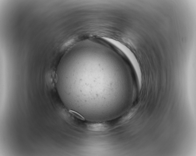 X0000087000237200704301404