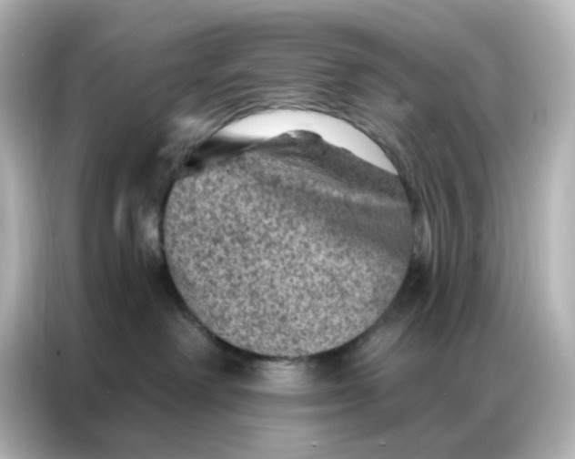 X0000087000238200704301404