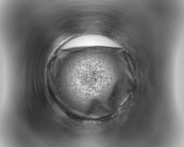 X0000087000242200704301403