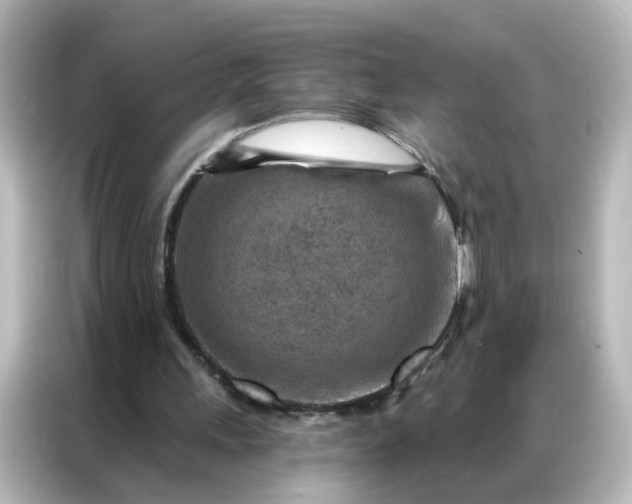X0000087000243200704301403