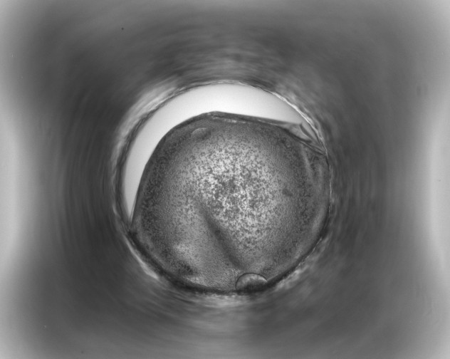 X0000087000245200704301403