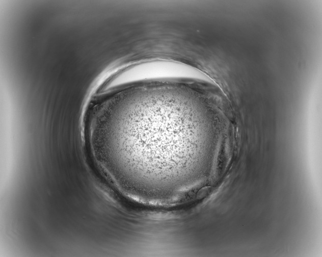 X0000087000246200704301403
