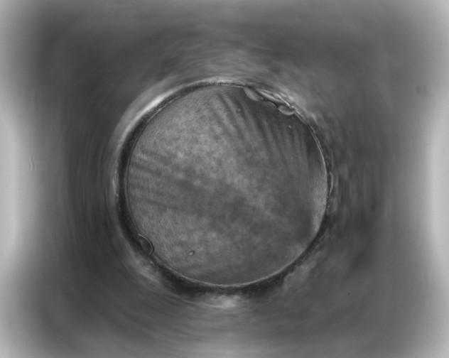 X0000087000247200704301403